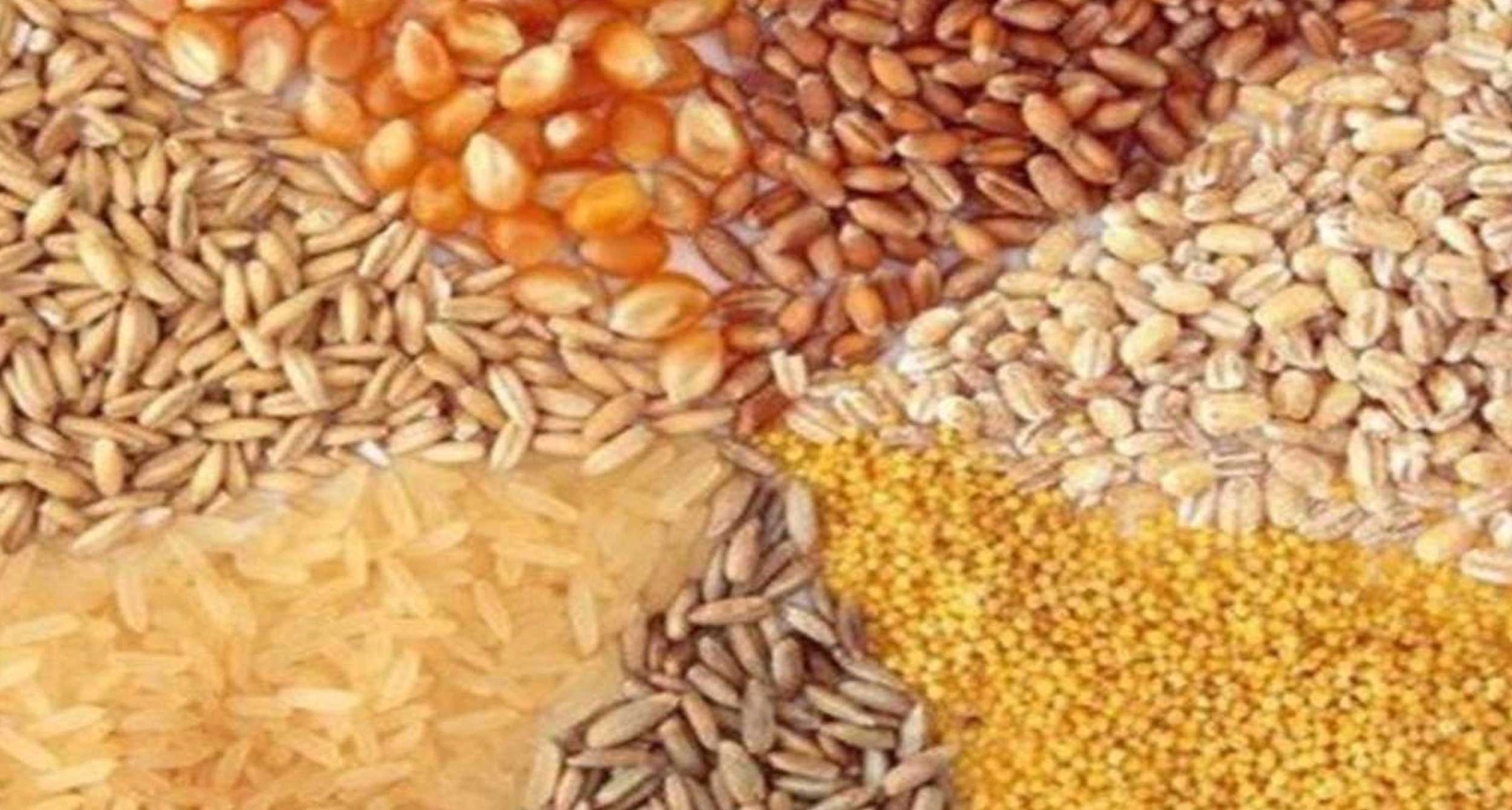 اطلاعیه وزارت جهاد کشاورزی به بازرگانان و وارد کنندگان نهادههای دامی-img