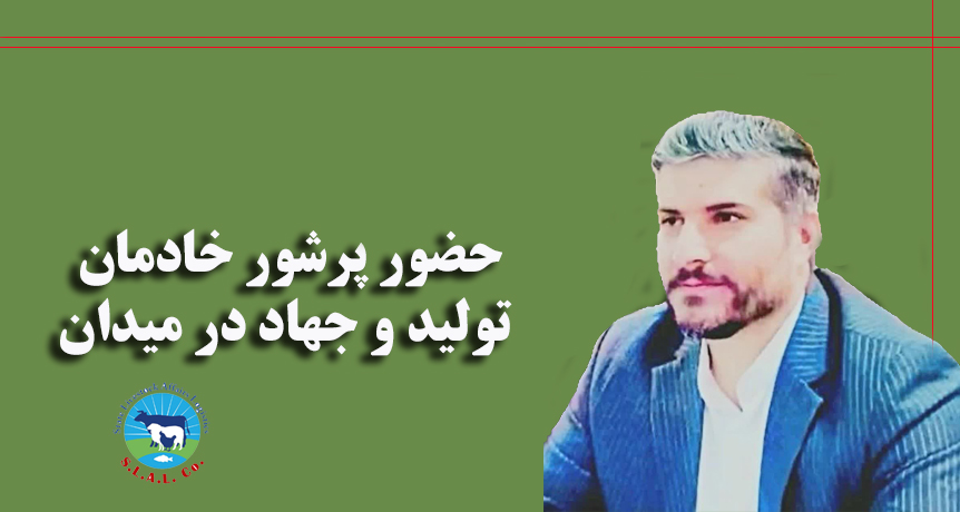 تقدیر فرمانده بسیج تخصصی شرکت پشتیبانی امور دام کشور از حضور حماسی مدیر عامل و کارکنان در هفتاد و یکمین راهپیمایی شبانه جان فدایان ایران-img